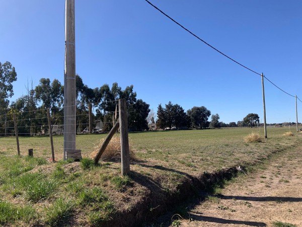 Terreno zona de quintas